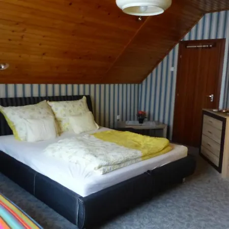 Apartman Cedar House